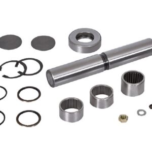 6703300219 6703300219 KING PIN REPAIR KIT