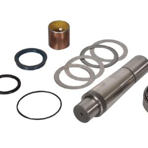 550730 550730 KING PIN REPAIR KIT