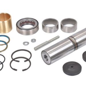 5010630994S1 5010630994S1 KING PIN REPAIR KIT RENAULT