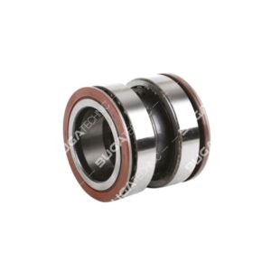 B11213000 4200101900 4200101900 WHEEL HUB BEARINGS