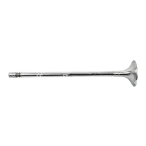 B01033302 20768519 20768519 EXHAUST VALVE