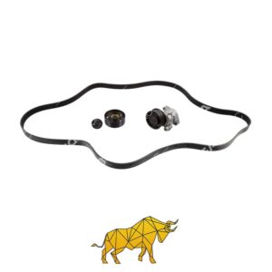 B01058506 1449133 1449133 BELT TIGHTENER COMPLETE DAF