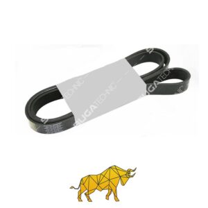 B01046026 1935423 1935423 MULTI-RIBBED BELT SCANIA