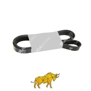 B01038547 21910664 21910664 MULTIRIBBED BELT VOLVO